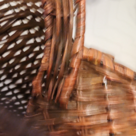 Brown and Tan Woven Tote Bag - Picture 5 of 9